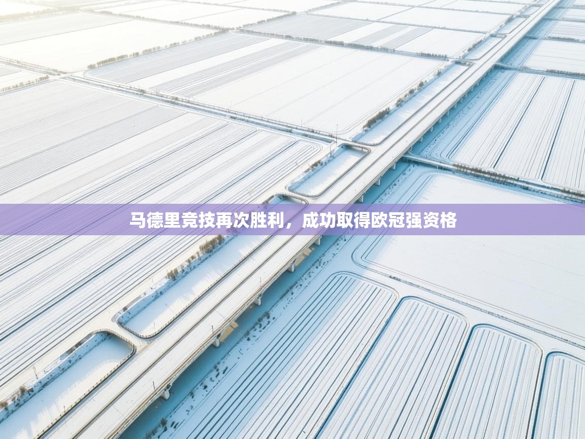 马德里竞技再次胜利，成功取得欧冠强资格  第2张